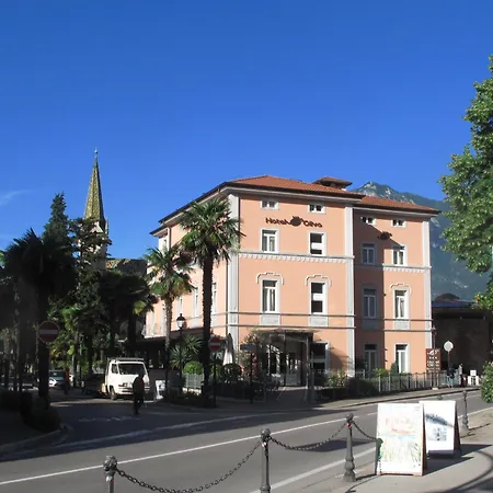 Olivo Arco